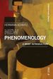 New Phenomenology